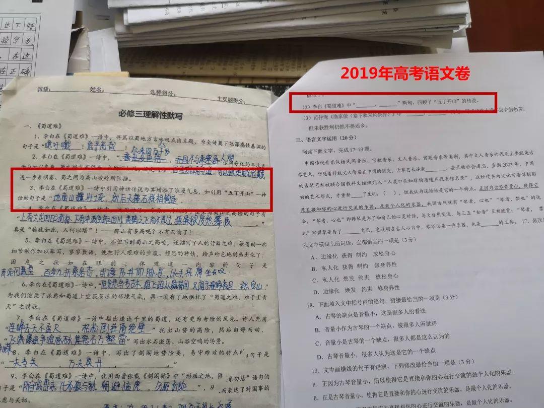 押中高考题、中考题？！美狮贵宾会都会森林学校学校“硬核”实力圈粉无数！