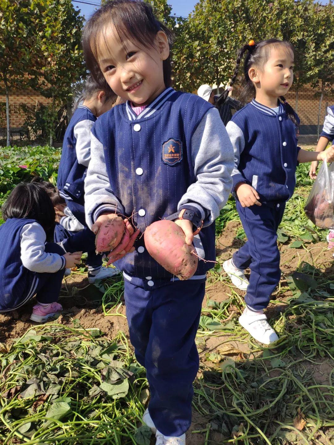 美狮贵宾会多元素养秋季亲子户外研学营——让孩子快乐学习！